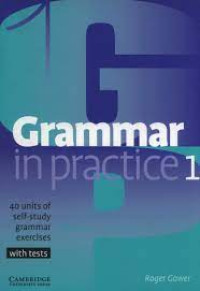 Grammar in practice 1