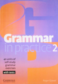 Grammar in practice 2