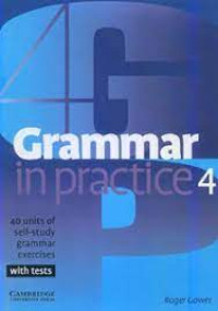 Grammar in practice 4