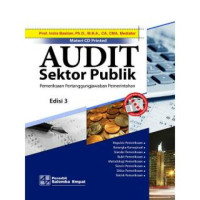 Audit sektor publik : pemeriksaan pertanggungjawaban pemerintahan